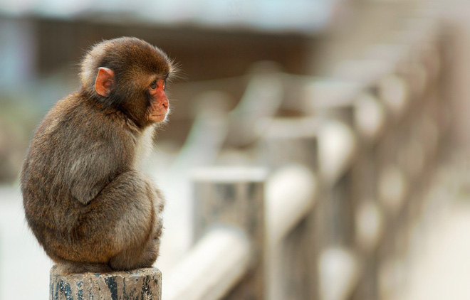 Tỉ phú Hong Kong Lý Gia Thành và những bài học kinh điển Tỉ phú Hong Kong Lý Gia Thành và những bài học kinh điển