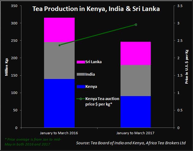 BusinessLine dẫn tin từ chuyên gia tập san Global Tea Digest, ông Rajesh Gupta cho biết sản lượng chè đen toàn cầu từ đầu năm tới nay đã giảm 21,03% so với cùng kỳ năm 2016, xuống mức 264,27 triệu kg, từ mức 334,66 triệu kg.