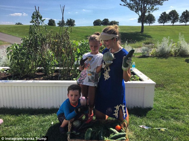 
Công chúa nước Mỹ Ivanka Trump tìm đến với vườn tược và rau quả hữu cơ để thể hiện đẳng cấp của tỷ phú.
