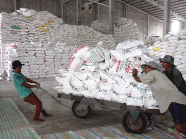 
Vận chuyển gạo xuất khẩu tại Công ty lương thực Long An. (Ảnh: Đình Huệ/TTXVN)
