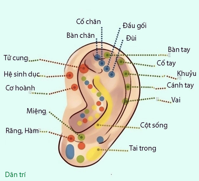 
(Ảnh minh họa)
