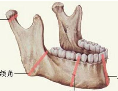 
Hàm răng của nam thanh niên đã bị viêm tủy xương, phải diệt tủy điều trị, phòng tránh va đập hàm suốt đời.
