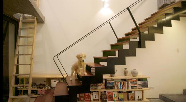 Làm bạn với chủ nhân hàng ngày là những chú chó cưng vô cùng dễ thương.