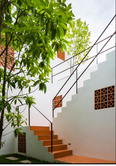 
Một cầu thang nhỏ giữa vườn cây là lối dẫn lên tầng 2 của ngôi nhà.

 
