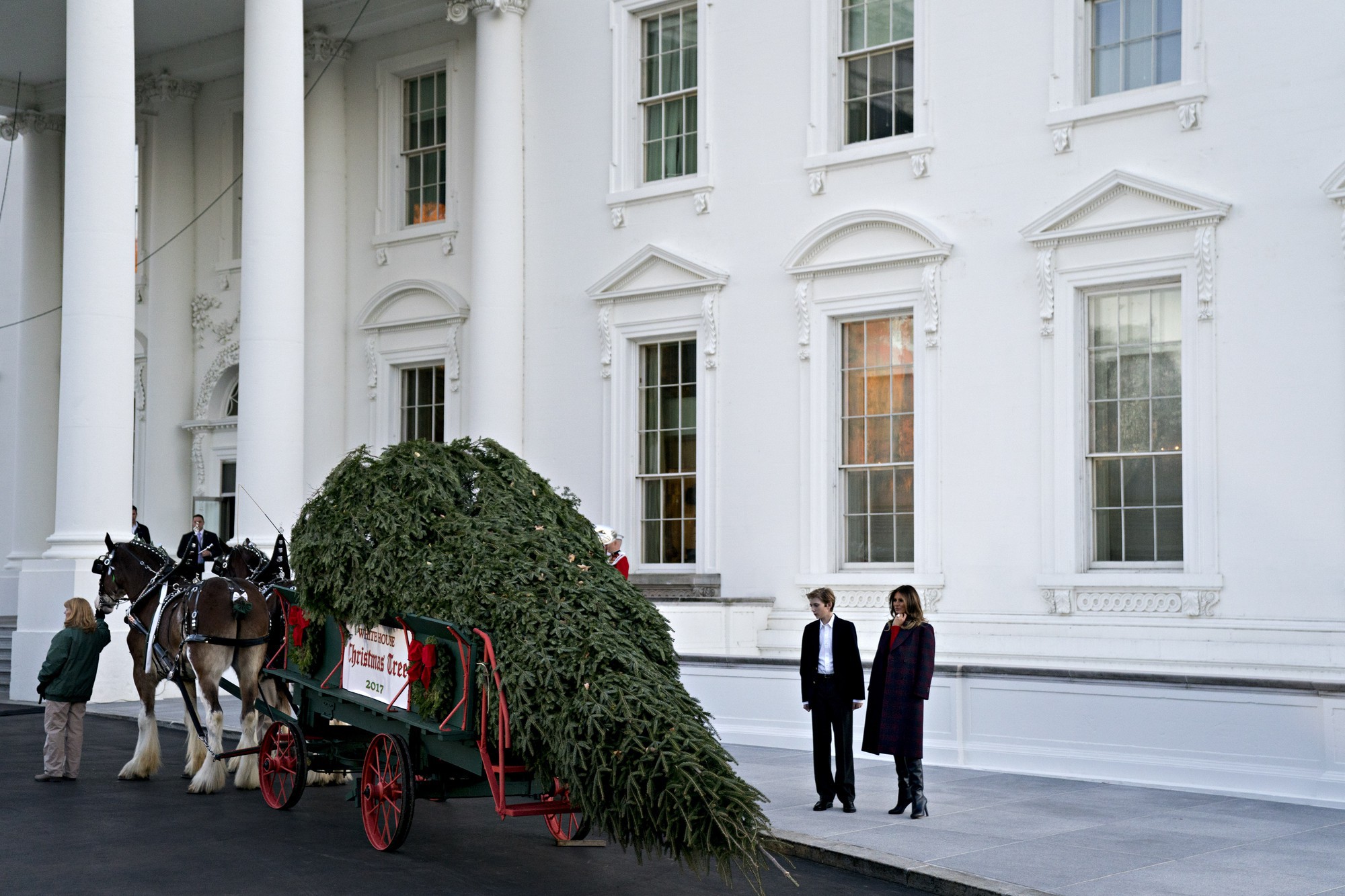 Phu nhân Melania Trump và quý tử Baron đang đón cây thông khổng lồ được kéo bởi cỗ xe hai ngựa vào dinh tổng thống Hoa Kỳ.