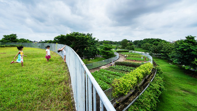 Nơi đây chính là nguồn cung cấp rau sạch cho những bữa ăn ở trường của trẻ.