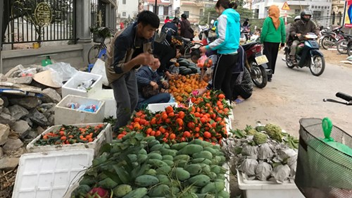 
Giá hoa, hoa quả đều giảm.
