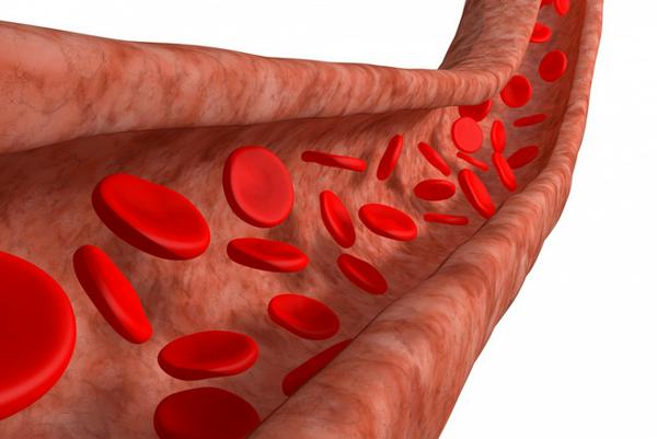 
Quá trình lưu thông máu có thể dễ dàng bị ảnh hưởng khi thành mạch gặp tổn thương hoặc bị cung cấp thiếu dưỡng chất.
