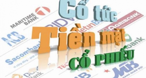 
Chi trả cổ tức phải phụ thuộc kết quả kinh doanh của NH
