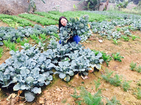 Chị Phong bên mảnh vườn do chính công sức lao động của cả gia đình tạo ra.