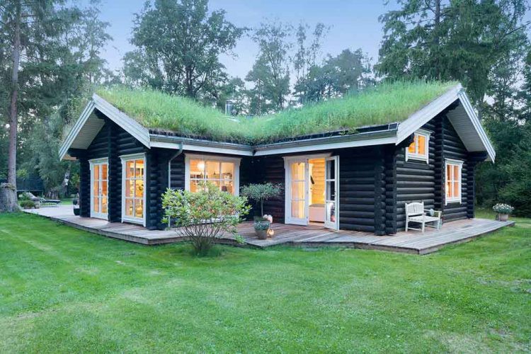  Ấn tượng đầu tiên mà bất cứ ai cũng nhậ ra khi ngắm nhìn ngôi nhà này đó là toàn bộ phần mái được trồng cỏ xanh mướt. 