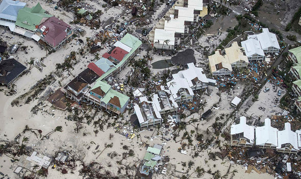 
Hàng cây cọ ven biển nằm rạp xuống vì sức gió quá mạnh của siêu bão Irma. Ảnh: EPA

