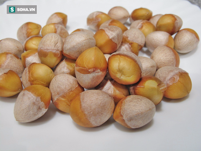 Bạch quả (Ảnh minh họa)