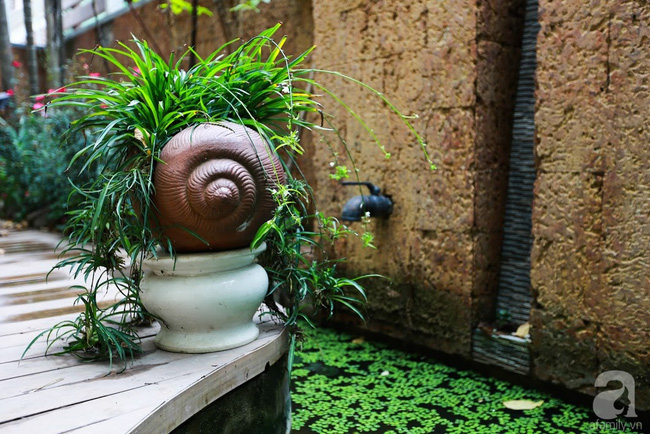 Vẻ đẹp trong lành của thiên nhiên.