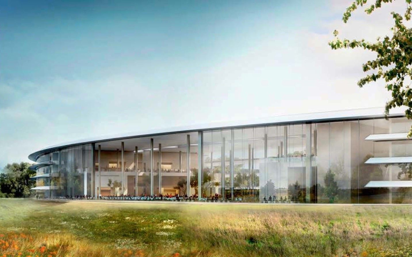 Alt value for image 33