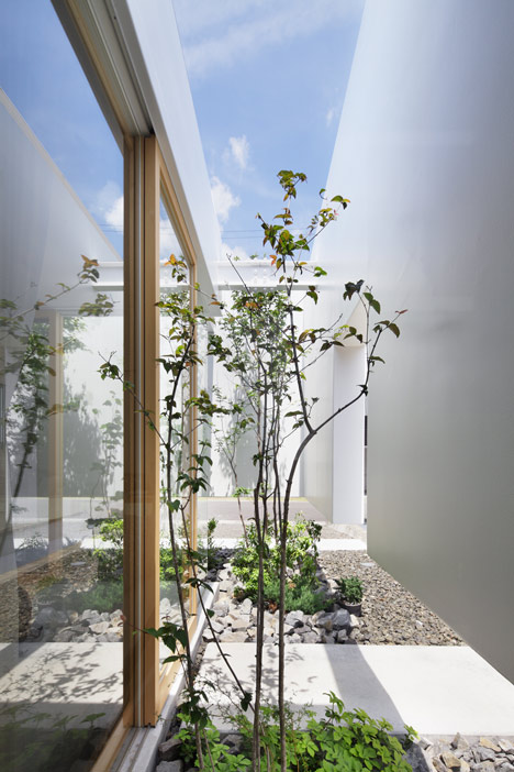 Khu vườn nhỏ bao quanh được ngăn cách với các khu vực chức năng bằng bức tường kính trong suốt cao sát trần. 