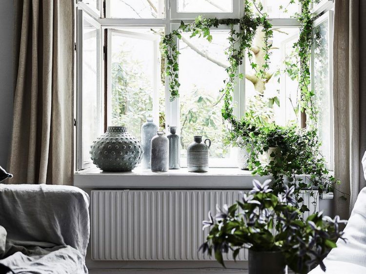  Phía cửa sổ, chủ nhân của <a href='http://canhodreamhomeriverside.blogspot.com/'>căn hộ</a> còn đặt phần lớn vật dụng trang trí lạ mắt cùng 1 chậu cây dây leo tô điểm cho thể tích thêm sinh động và mới mẻ.    