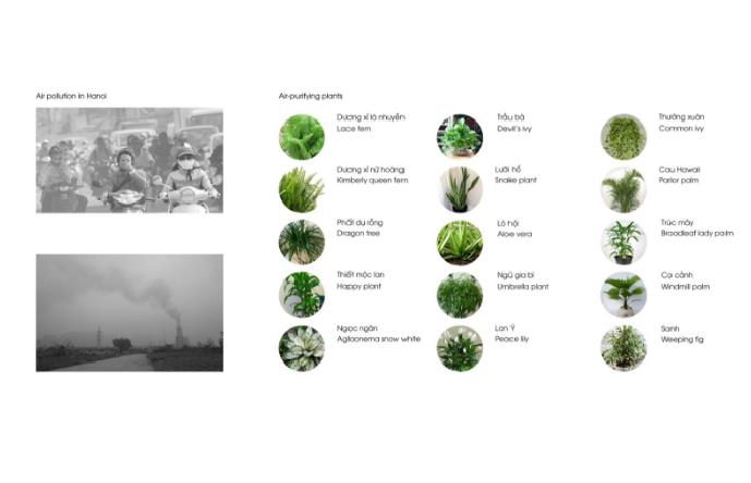 Đây thực sự là một ý tưởng tuyệt vời khi mà bầu không khí tại các thành phố lớn đang bị ô nhiễm trầm trọng gây ảnh hưởng không nhỏ đến sức khỏe con người.