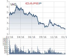 
Diễn biến giá cổ phiếu VHG trong 1 năm gần đây.
