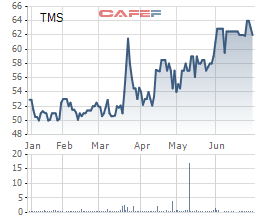 Diễn biến giá cổ phiếu TMS trong 6 tháng gần đây.