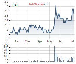 Diễn biến giá cổ phiếu PXL trong 6 tháng gần đây.