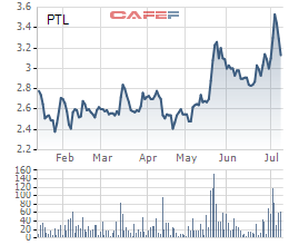 Diễn biến giá cổ phiếu PTL trong 6 tháng gần đây.