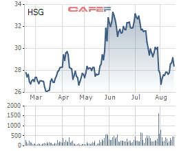 Cổ phiếu HSG đã tạo ra nhiều sóng trong 6 tháng gần đây.