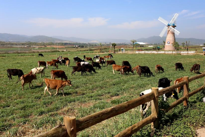 Hệ thống nhà máy, trang trại của Vinamilk.