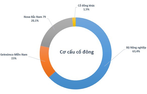 Cơ cấu cổ đông tại SEA tại thời điểm cuối tháng 12/2016