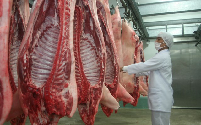 
Việt Nam xuất khẩu lợn sống, kiểu “lua cả đàn” qua đường tiểu ngạch.
