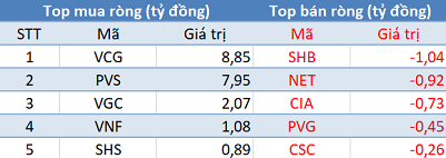 Khối ngoại trở lại mua ròng trên HNX trong phiên 24/1, tập trung “gom” VCG, PVS - Ảnh 1.