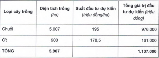 HAGL Agrico (HNG) tiếp tục tăng diện tích trồng chuối, nâng tổng đầu tư lên hơn 1.000 tỷ đồng - Ảnh 2.