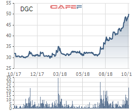 Hóa chất Đức Giang (DGC): Lãi 245 tỷ đồng sau khi nhận sáp nhập DGL - Ảnh 2.