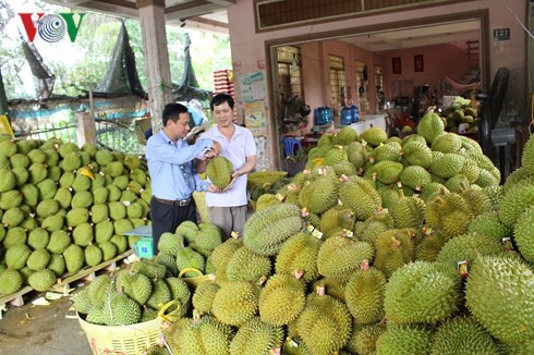 Tăng trưởng ngành nông nghiệp là điểm sáng của kinh tế Việt Nam - Ảnh 2.