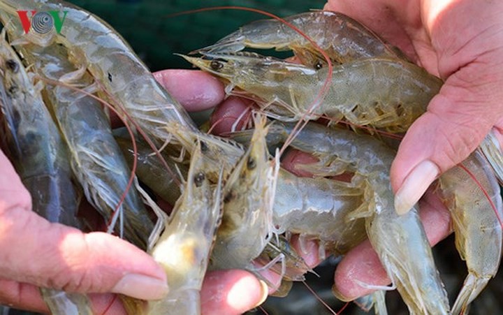 15 sản phẩm nông nghiệp được đề xuất là sản phẩm chủ lực quốc gia - Ảnh 15. 15 sản phẩm nông nghiệp được đề xuất là sản phẩm chủ lực quốc gia - Ảnh 15.