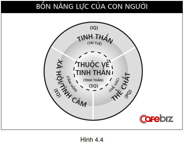 Ngoài IQ, EQ, PQ có 1 năng lực khác quyết định sự thành công nhưng ít người biết đến - Ảnh 1.