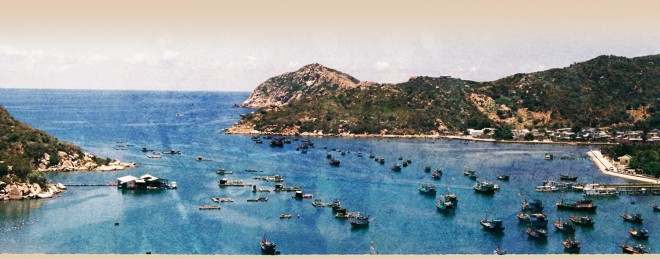 Vùng sa thảo thu hút đầu tư sau Hội nghị trung ương 8 - Ảnh 15. Vùng sa thảo thu hút đầu tư sau Hội nghị trung ương 8 - Ảnh 15.