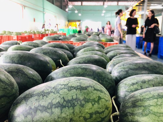 Đại gia bán lẻ Thái Lan mở trạm trung chuyển trái cây ở miền Tây - Ảnh 2.