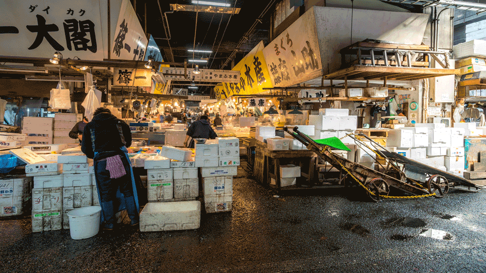 Kỷ nguyên mới cho chợ cá lâu đời nhất Nhật Bản, nơi xử lý 1.600 tấn hải sản mỗi ngày - Ảnh 1.