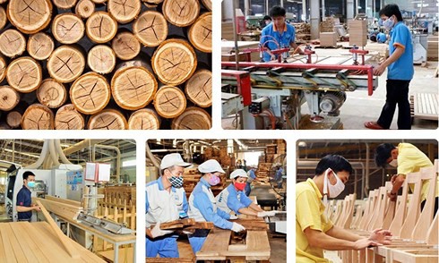 Chiến tranh thương mại Mỹ-Trung tác động mạnh đến ngành gỗ Việt Nam - Ảnh 1.