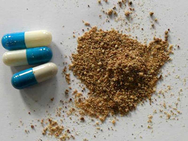 Đường đi ghê rợn của thuốc thịt người Trung Quốc - Ảnh 2. Đường đi ghê rợn của thuốc thịt người Trung Quốc - Ảnh 2.