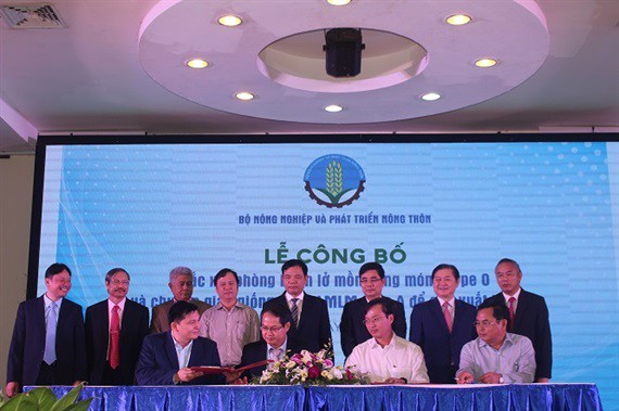 Công bố sản xuất thành công vacxin lở mồm long móng tại Việt Nam - Ảnh 1.