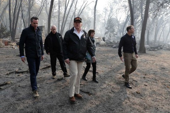 Nói Phần Lan cào cỏ khô để ngăn cháy rừng, ông Trump bị chế nhạo - Ảnh 1.