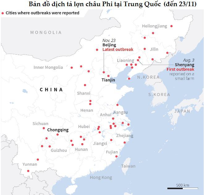 Thị trường ngày 24/11: Giá dầu bốc hơi gần 8% - Ảnh 3. Thị trường ngày 24/11: Giá dầu bốc hơi gần 8% - Ảnh 3.