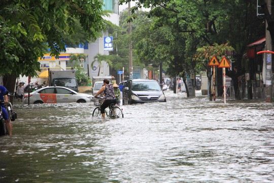 Sáng 26-11, TPHCM nhiều nơi vẫn ngập sâu, rác, nhánh cây gãy la liệt - Ảnh 8.