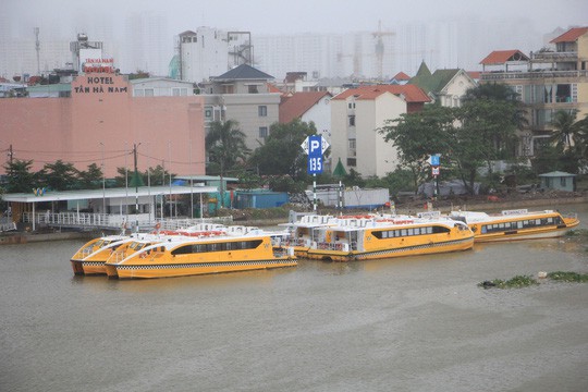 Sáng 26-11, TPHCM nhiều nơi vẫn ngập sâu, rác, nhánh cây gãy la liệt - Ảnh 9.