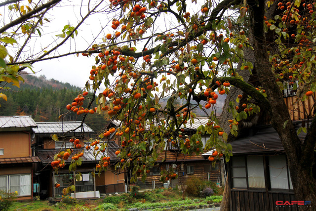 Ghé thăm Shirakawa-go, ngôi làng cổ tích phương Đông ở Nhật Bản - Ảnh 4.