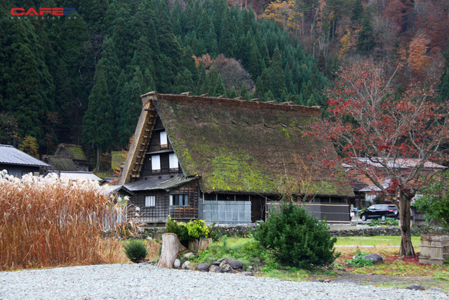 Ghé thăm Shirakawa-go, ngôi làng cổ tích phương Đông ở Nhật Bản - Ảnh 10.