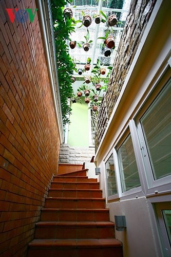 Nhà cải tạo đa chức năng với vườn xanh trên mái - Ảnh 3.