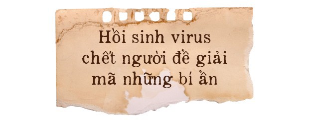 100 năm dịch cúm lớn nhất lịch sử nhân loại: Một con chim đậu xuống cửa sông mở đầu đại dịch giết chết 50 triệu người - Ảnh 4.